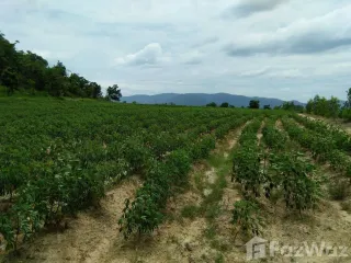 For sale land in Khok Samrong, Lopburi