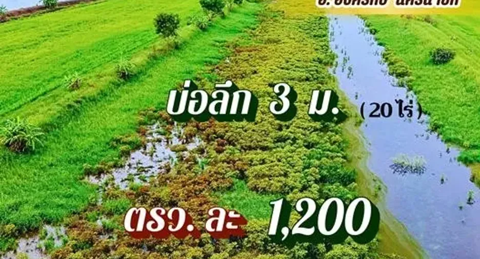 Grundstück zum Kauf in Ongkharak, Nakhon Nayok