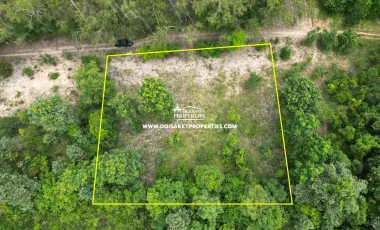 For sale land in San Sai, Chiang Mai