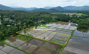 For sale land in San Sai, Chiang Mai