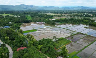 For sale land in San Sai, Chiang Mai