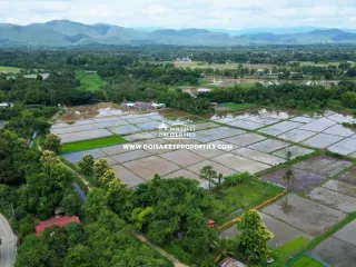 À vendre terrain à San Sai, Chiang Mai