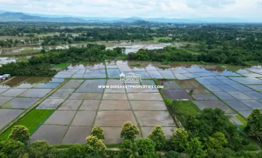 For sale land in San Sai, Chiang Mai