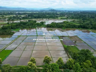 À vendre terrain à San Sai, Chiang Mai