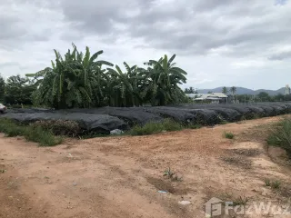 出售 土地 在 华欣, 班武里府