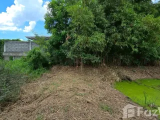 For sale land in Bang Bua Thong, Nonthaburi