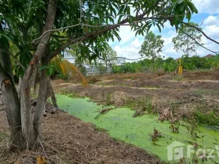 For sale land in Bang Bua Thong, Nonthaburi