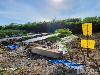 For sale land in Bang Bua Thong, Nonthaburi