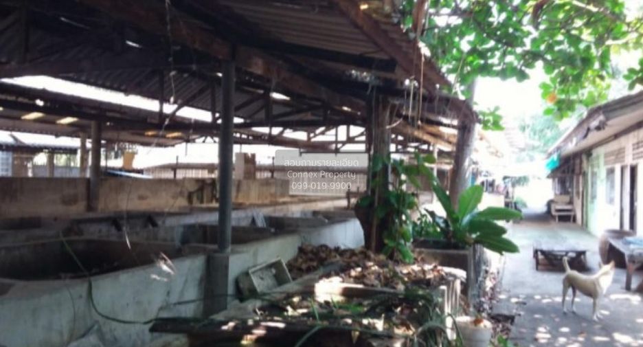 For sale 5 ベッドルーム house in Khlong Luang, Pathum Thani