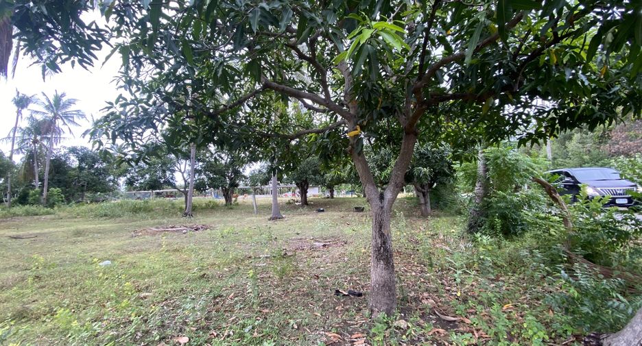 Terreno en venta en Sam Roi Yot, Prachuap Khiri Khan