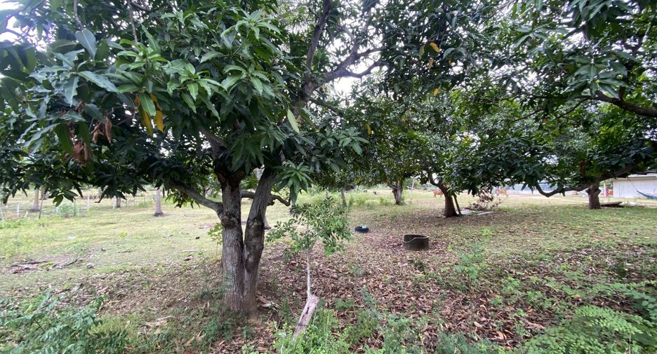 Terreno en venta en Sam Roi Yot, Prachuap Khiri Khan