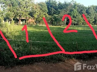 Продажа Участок в Lom Sak, Phetchabun