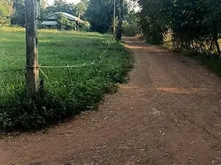 Продажа Участок в Lom Sak, Phetchabun