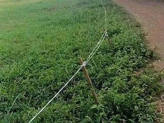 Продажа Участок в Lom Sak, Phetchabun