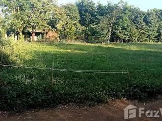 Продажа Участок в Lom Sak, Phetchabun