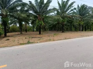 For sale land in Klaeng, Rayong