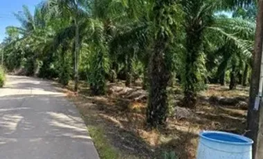 Terreno en venta en Klaeng, Rayong