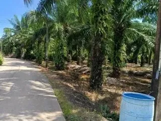 For sale land in Klaeng, Rayong