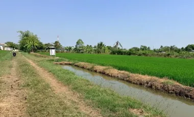 Terreno en venta en Sai Noi, Nonthaburi