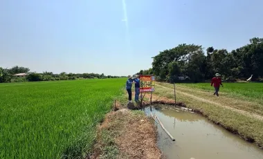 Terreno en venta en Sai Noi, Nonthaburi