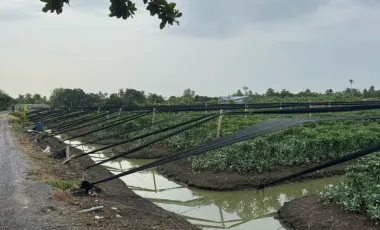 Terreno en venta en Krathum Baen, Samut Sakhon