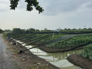 For sale land in Krathum Baen, Samut Sakhon
