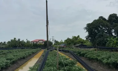 Terreno en venta en Krathum Baen, Samut Sakhon