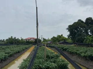 For sale land in Krathum Baen, Samut Sakhon