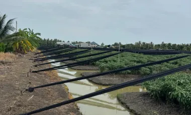 Terreno en venta en Krathum Baen, Samut Sakhon