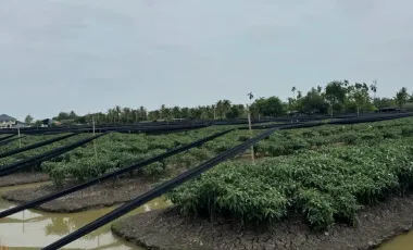 Terreno en venta en Krathum Baen, Samut Sakhon