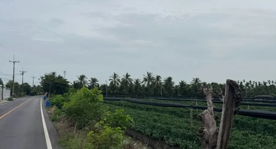 Terreno en venta en Krathum Baen, Samut Sakhon