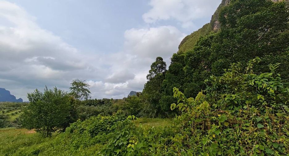 For sale land in Mueang Krabi, Krabi
