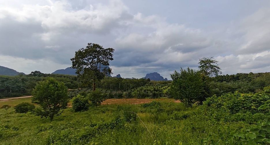 For sale land in Mueang Krabi, Krabi