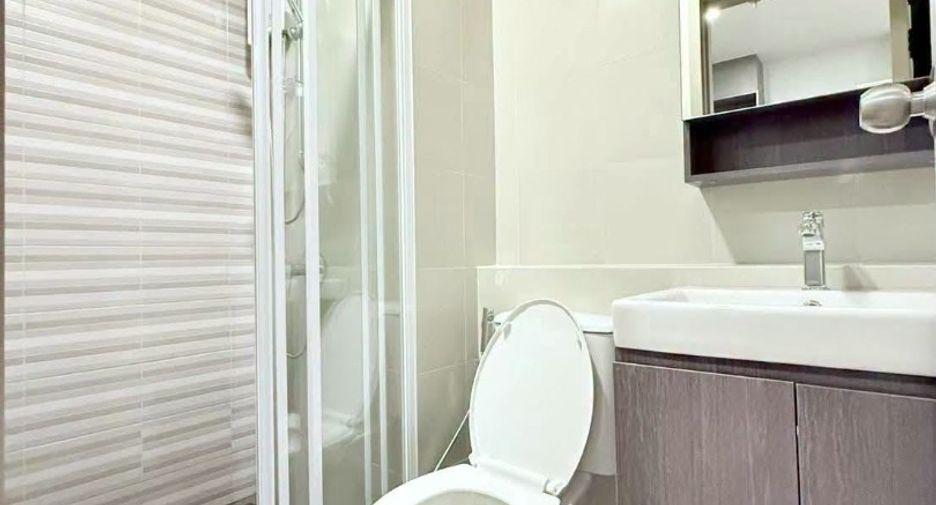For rent 20 bedrooms condo in Khlong Toei, Bangkok