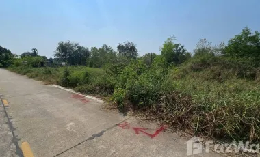 Продажа Участок в Lat Lum Kaeo, Патумтани
