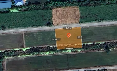 Продажа Участок в Sai Noi, Нонтабури