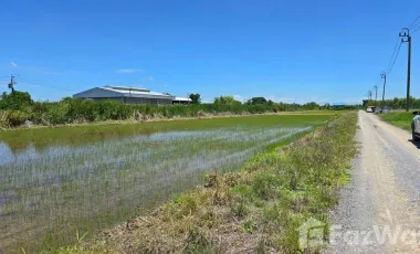Продажа Участок в Sai Noi, Нонтабури