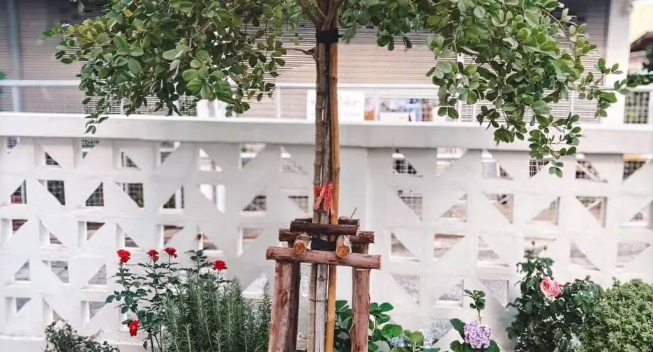 出售 3 卧室 独立屋 在 Mueang Chiang Mai, Chiang Mai