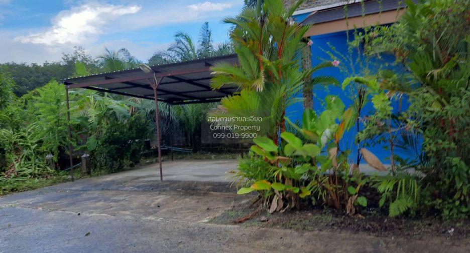 Grundstück zum Kauf mit 1 Zimmer in Mueang Phangnga, Phang Nga