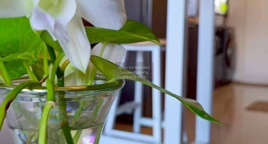 For rent 2 bedrooms townhouse in Thalang, Phuket