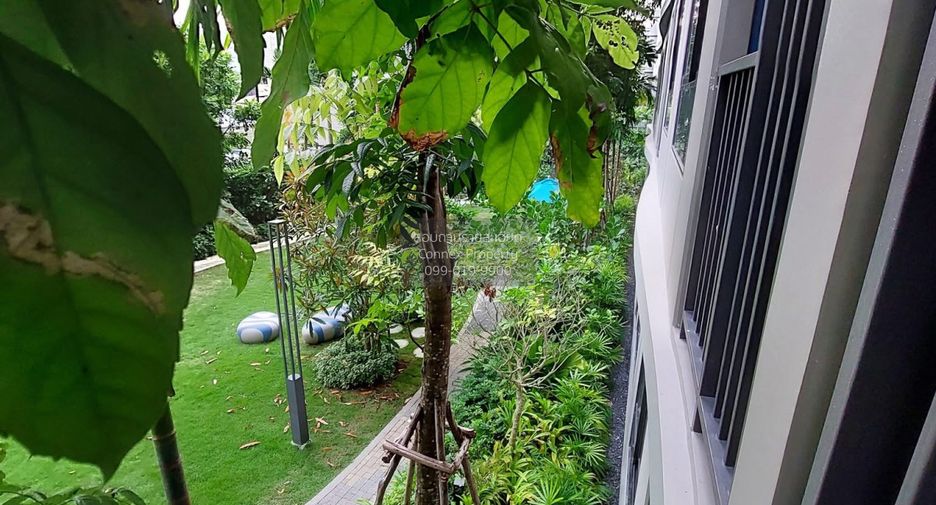 For rent 1 bed condo in Kathu, Phuket