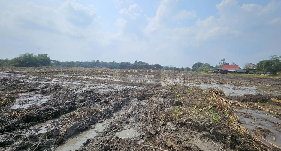 For sale 1 bed land in Nakhon Chai Si, Nakhon Pathom