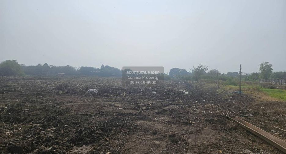 For sale 1 bed land in Nakhon Chai Si, Nakhon Pathom
