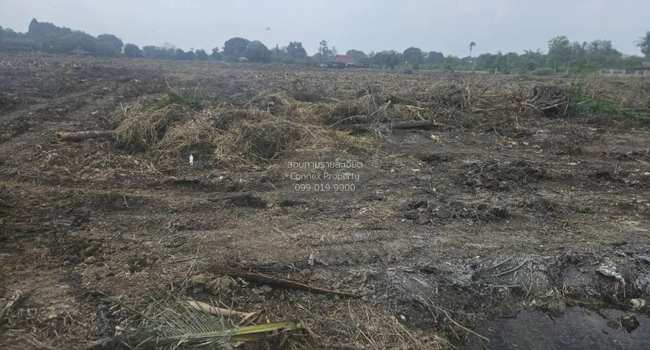 For sale 1 bed land in Nakhon Chai Si, Nakhon Pathom