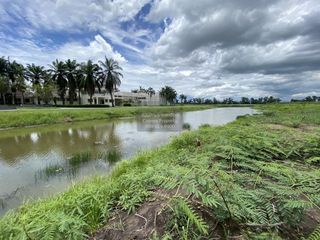 À vendre 1 chambre terrain à Ban Na, Nakhon Nayok