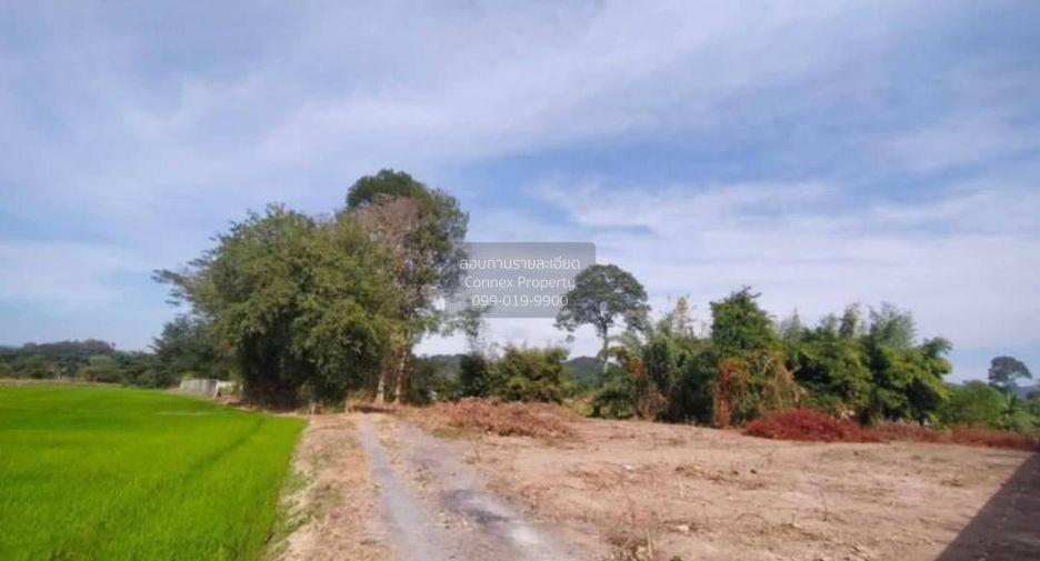 À vendre 1 chambre terrain à Mueang Nakhon Nayok, Nakhon Nayok