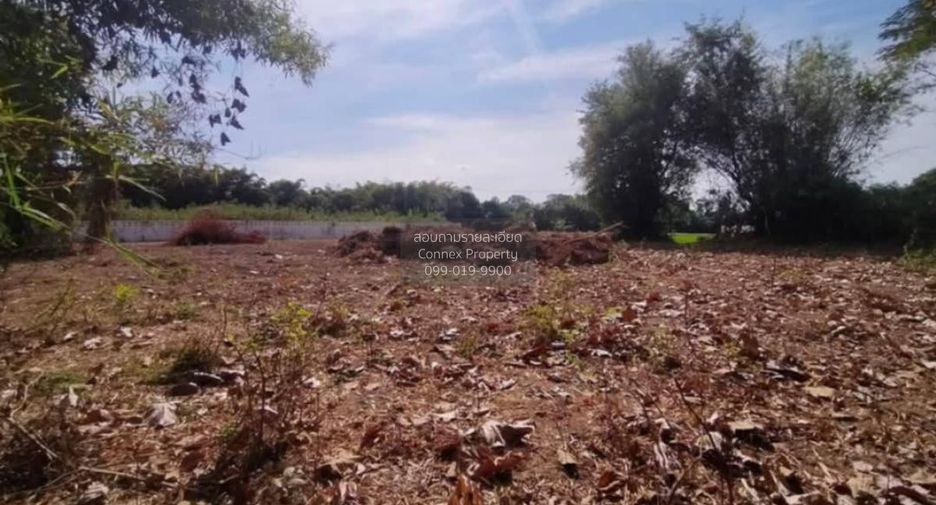 À vendre 1 chambre terrain à Mueang Nakhon Nayok, Nakhon Nayok
