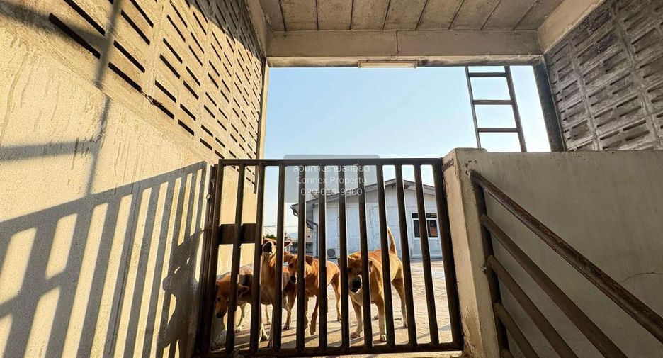 Apartment zum Kauf mit 40 Zimmer in Yan Nawa, Bangkok