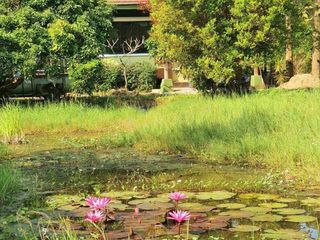 For sale 3 bedrooms house in Saraphi, Chiang Mai