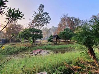For sale 3 bedrooms house in Saraphi, Chiang Mai